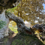 44 tracks in the länd - Heidenheim nach Schelklingen