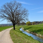 44 tracks in the länd - Stein am Rhein nach Laufenburg