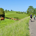 44 tracks in the länd - Schwäbisch Gmünd nach Heidenheim