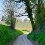 44 tracks in the länd - Lahr nach Baden-Baden