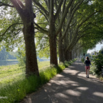 44 tracks in the länd - Mannheim nach Mosbach